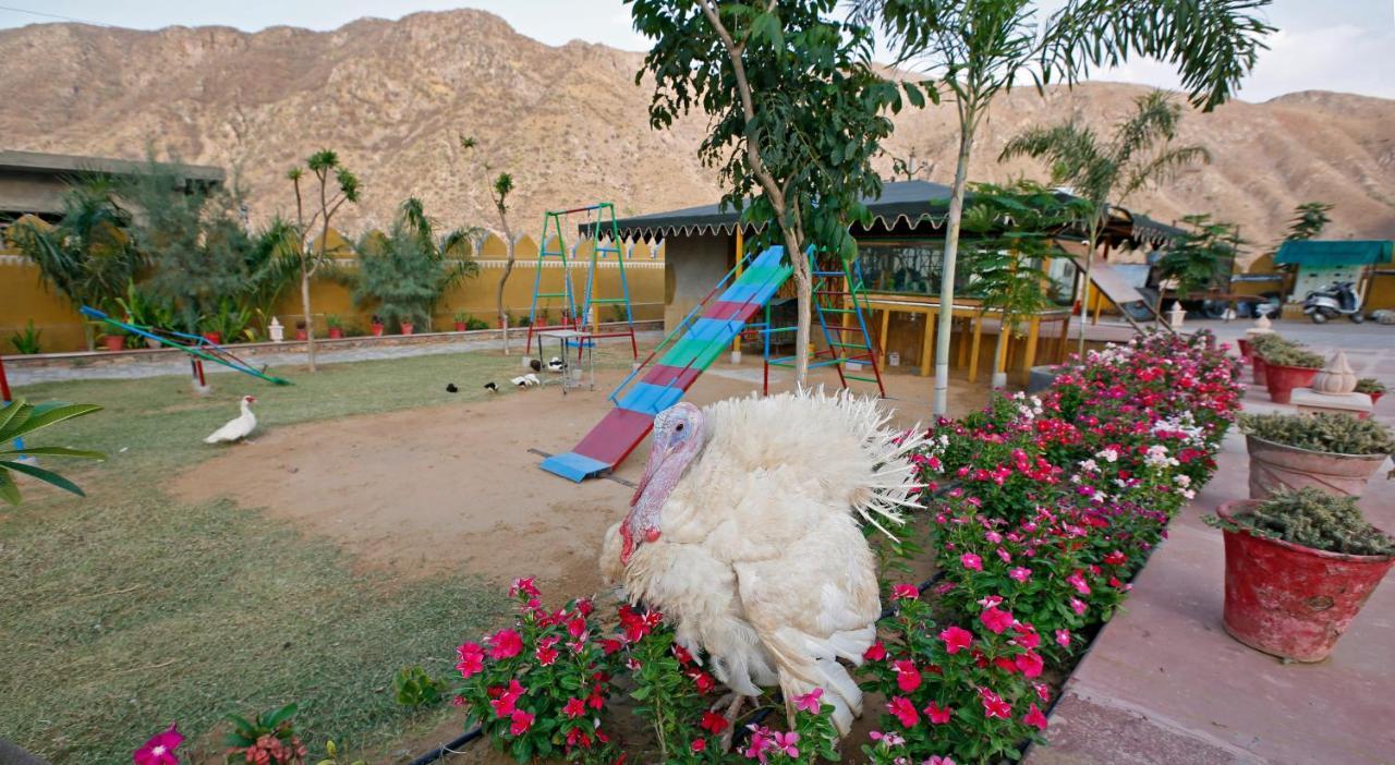 Serene Aravali Resort, Pushkar Ngoại thất bức ảnh